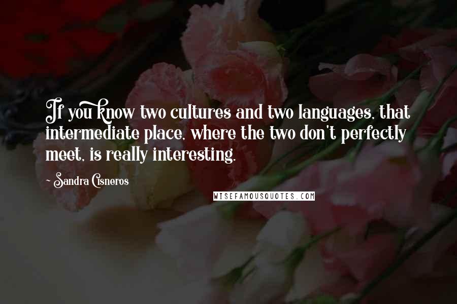 Sandra Cisneros Quotes: If you know two cultures and two languages, that intermediate place, where the two don't perfectly meet, is really interesting.