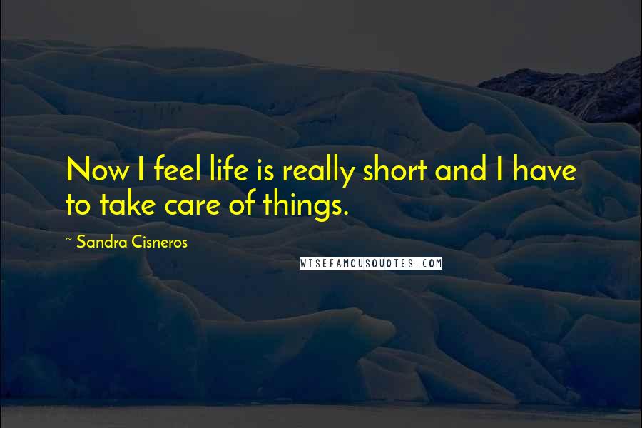 Sandra Cisneros Quotes: Now I feel life is really short and I have to take care of things.
