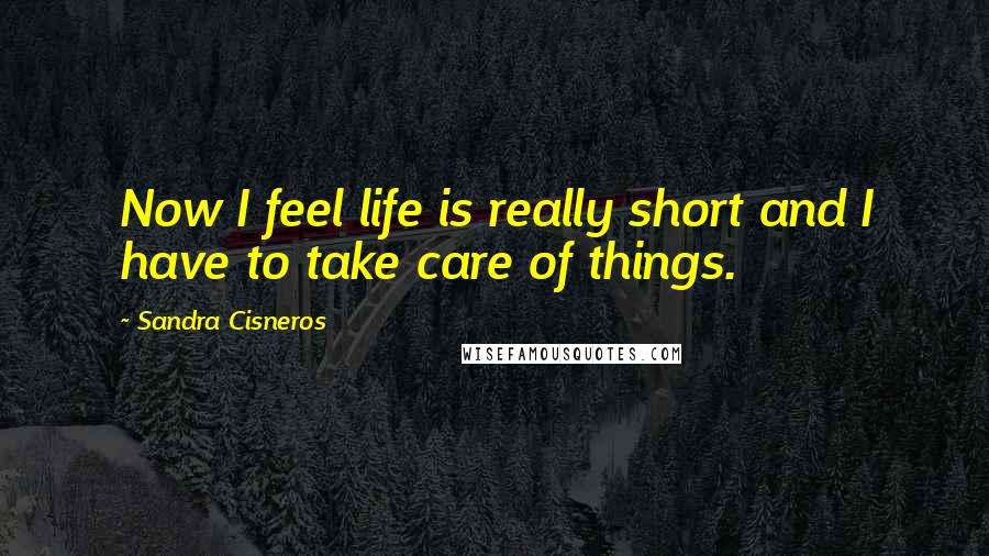 Sandra Cisneros Quotes: Now I feel life is really short and I have to take care of things.