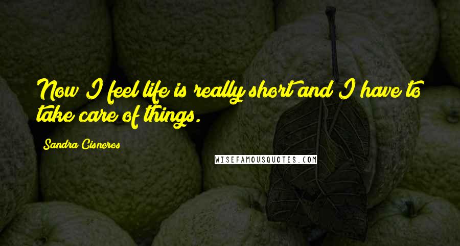 Sandra Cisneros Quotes: Now I feel life is really short and I have to take care of things.