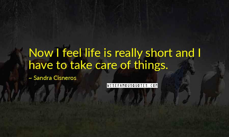 Sandra Cisneros Quotes: Now I feel life is really short and I have to take care of things.