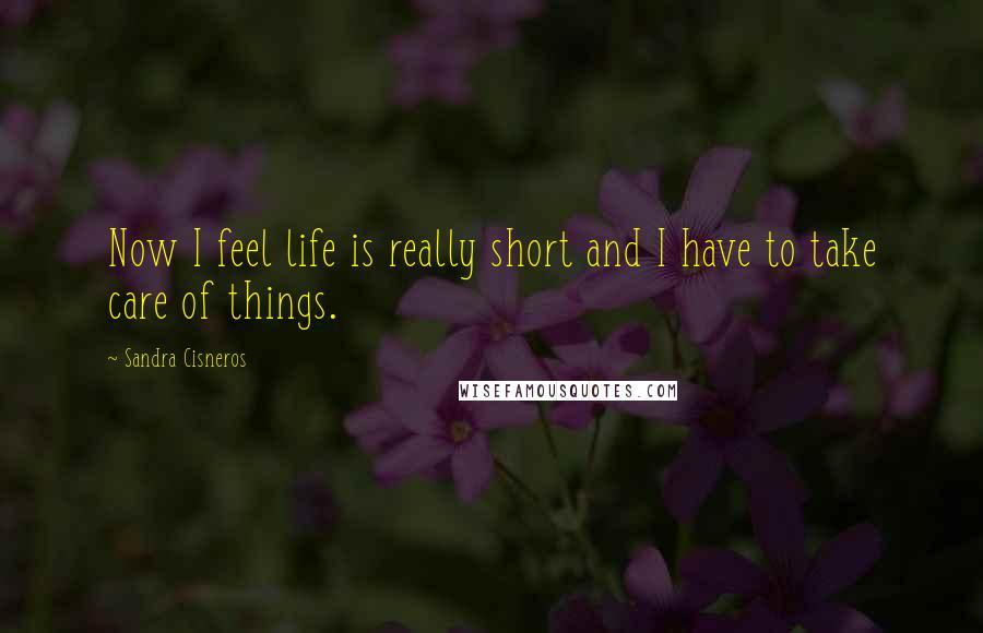 Sandra Cisneros Quotes: Now I feel life is really short and I have to take care of things.