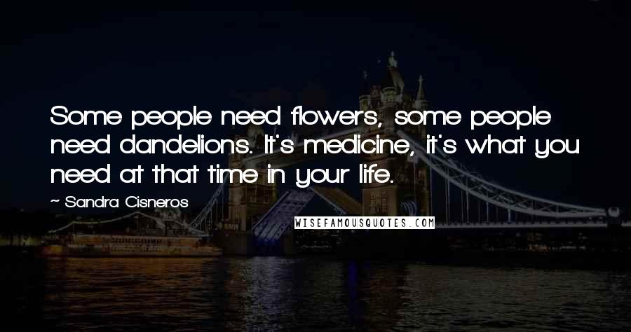 Sandra Cisneros Quotes: Some people need flowers, some people need dandelions. It's medicine, it's what you need at that time in your life.