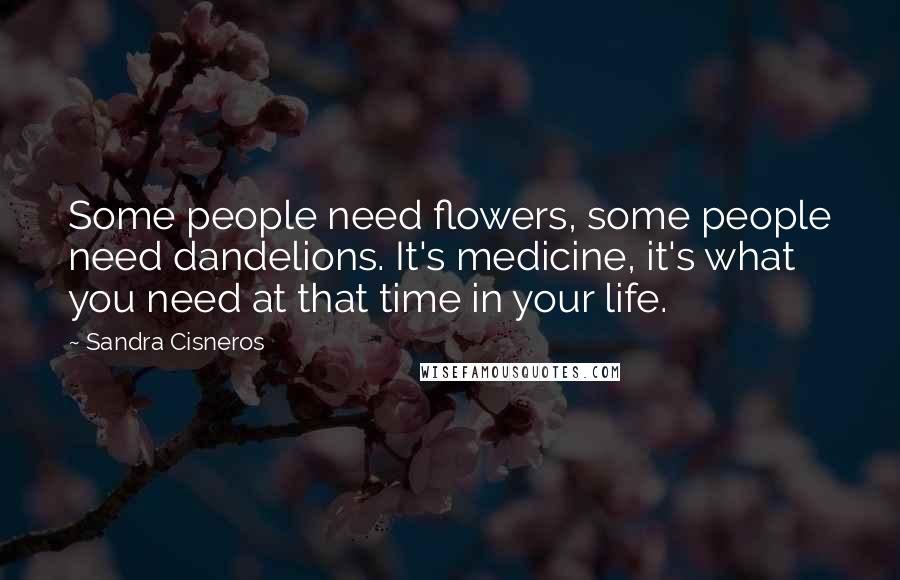 Sandra Cisneros Quotes: Some people need flowers, some people need dandelions. It's medicine, it's what you need at that time in your life.