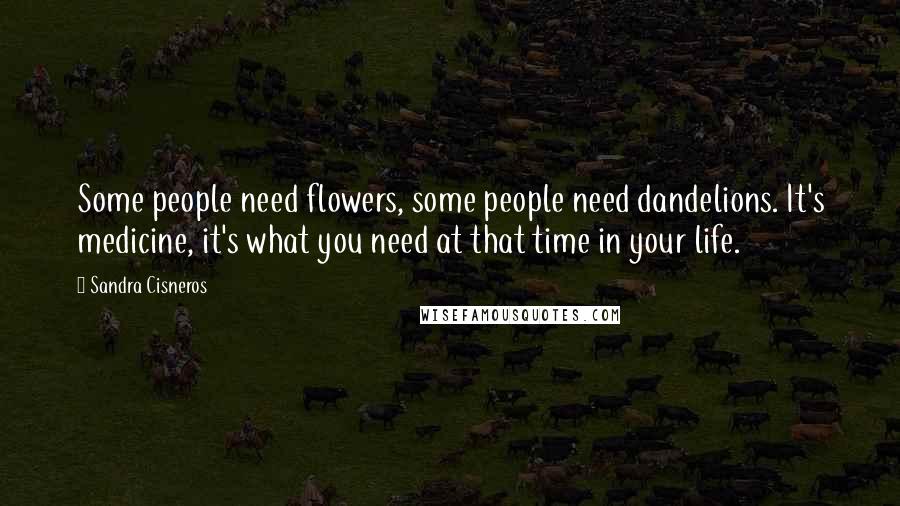 Sandra Cisneros Quotes: Some people need flowers, some people need dandelions. It's medicine, it's what you need at that time in your life.