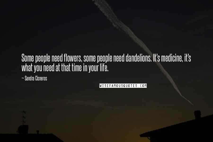 Sandra Cisneros Quotes: Some people need flowers, some people need dandelions. It's medicine, it's what you need at that time in your life.