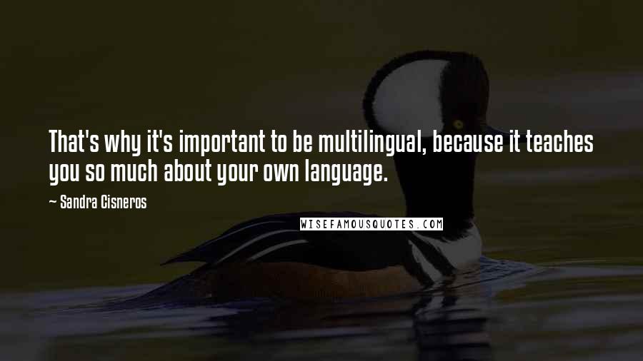 Sandra Cisneros Quotes: That's why it's important to be multilingual, because it teaches you so much about your own language.