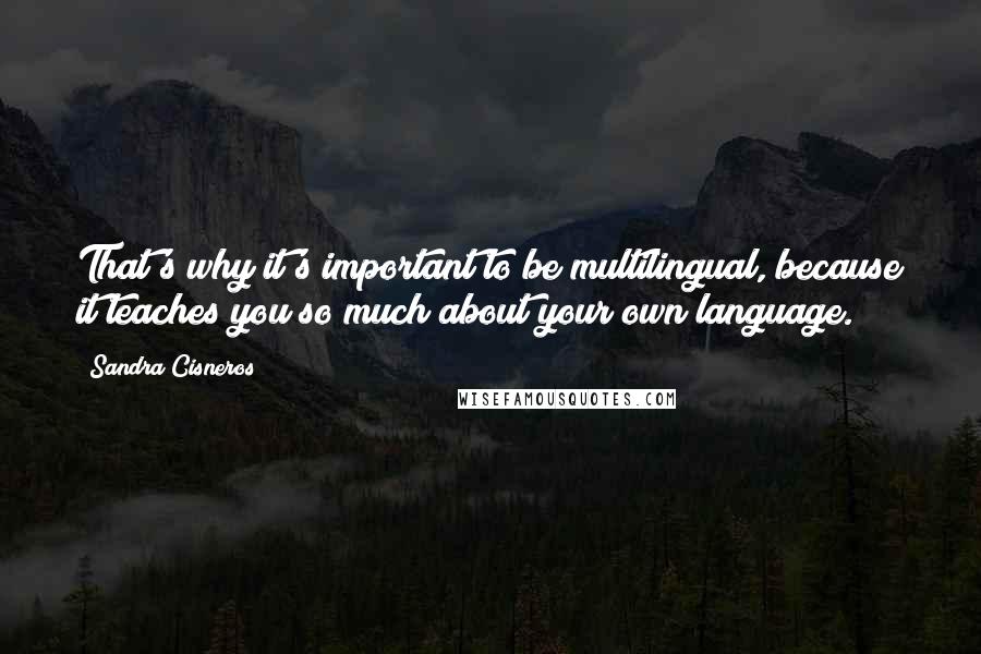 Sandra Cisneros Quotes: That's why it's important to be multilingual, because it teaches you so much about your own language.