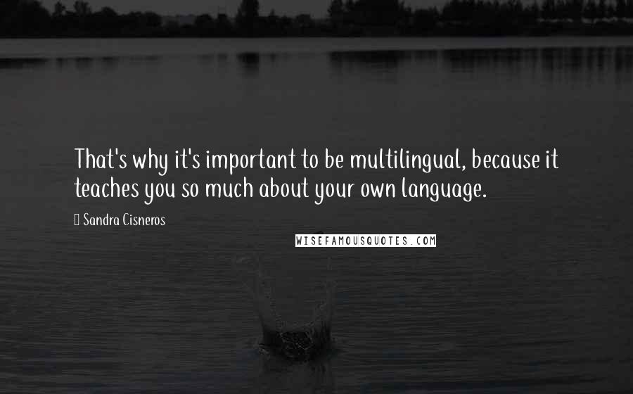 Sandra Cisneros Quotes: That's why it's important to be multilingual, because it teaches you so much about your own language.