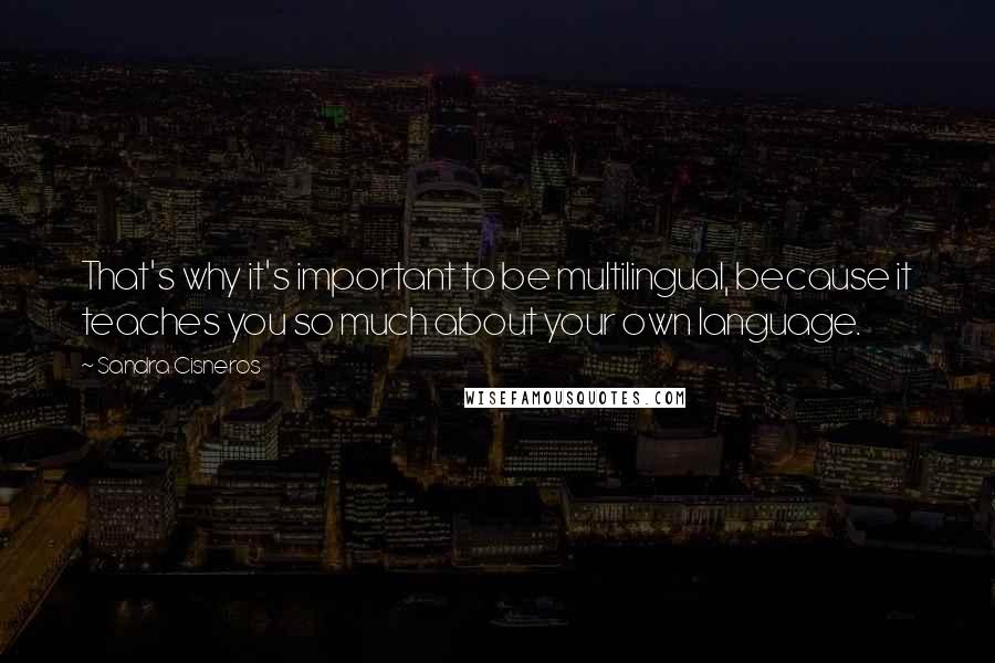 Sandra Cisneros Quotes: That's why it's important to be multilingual, because it teaches you so much about your own language.