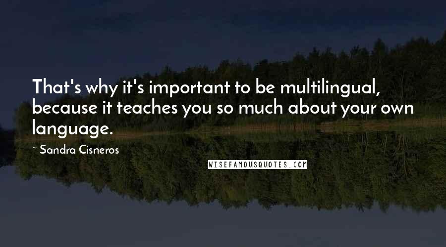 Sandra Cisneros Quotes: That's why it's important to be multilingual, because it teaches you so much about your own language.