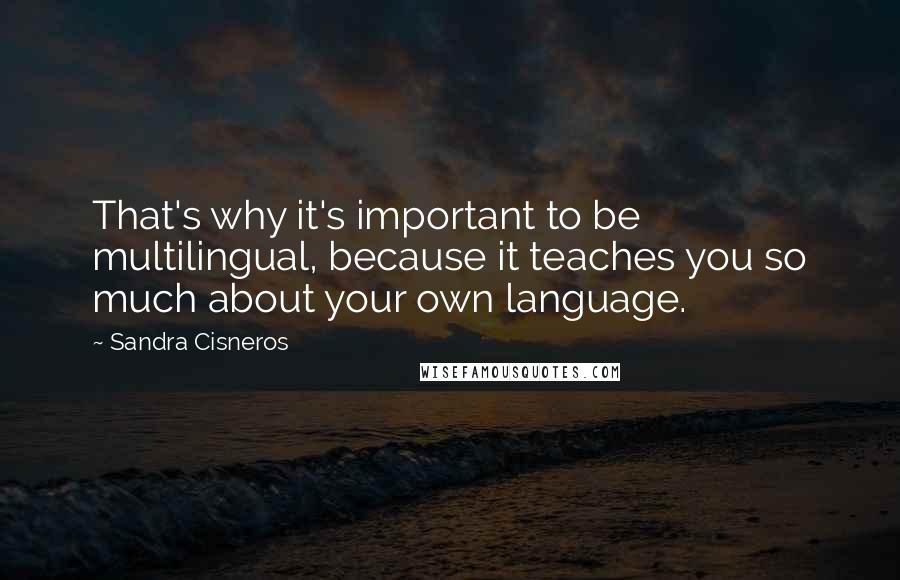 Sandra Cisneros Quotes: That's why it's important to be multilingual, because it teaches you so much about your own language.