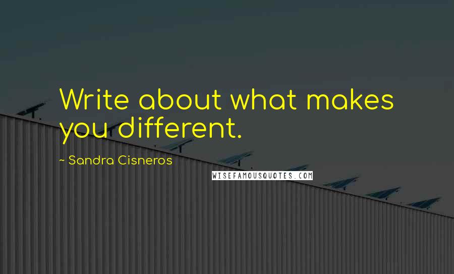 Sandra Cisneros Quotes: Write about what makes you different.