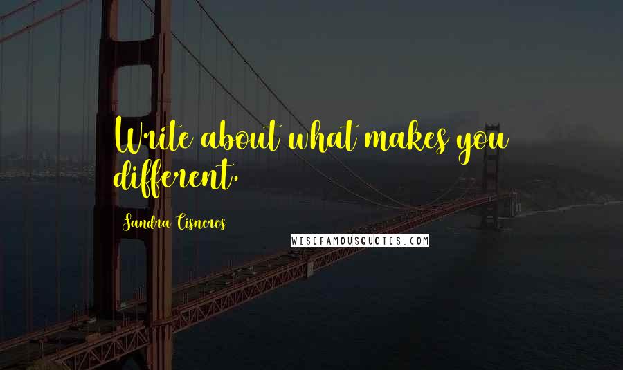 Sandra Cisneros Quotes: Write about what makes you different.