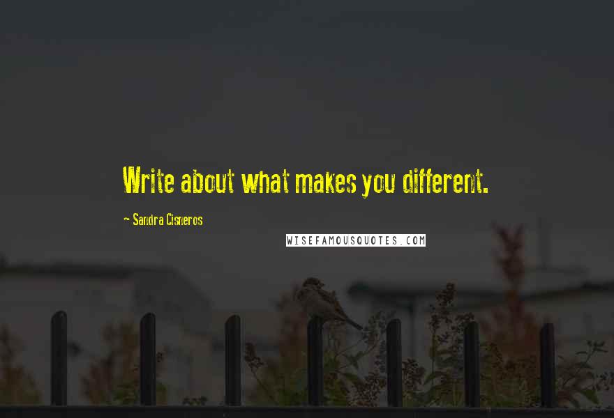 Sandra Cisneros Quotes: Write about what makes you different.