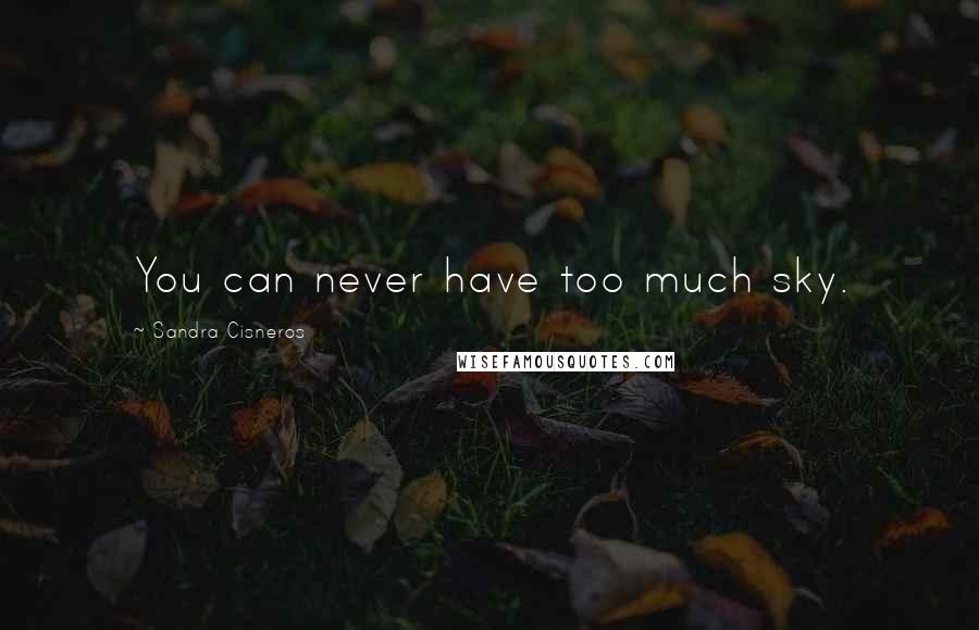 Sandra Cisneros Quotes: You can never have too much sky.