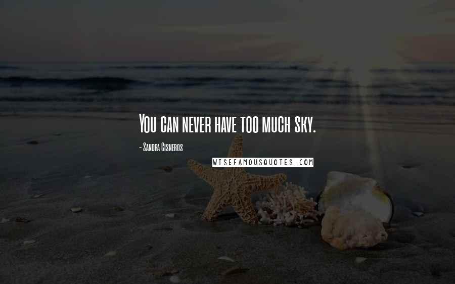 Sandra Cisneros Quotes: You can never have too much sky.