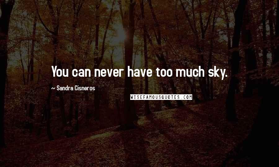 Sandra Cisneros Quotes: You can never have too much sky.