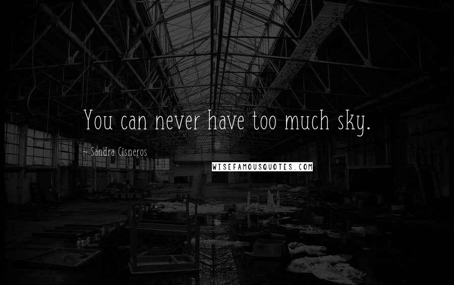 Sandra Cisneros Quotes: You can never have too much sky.