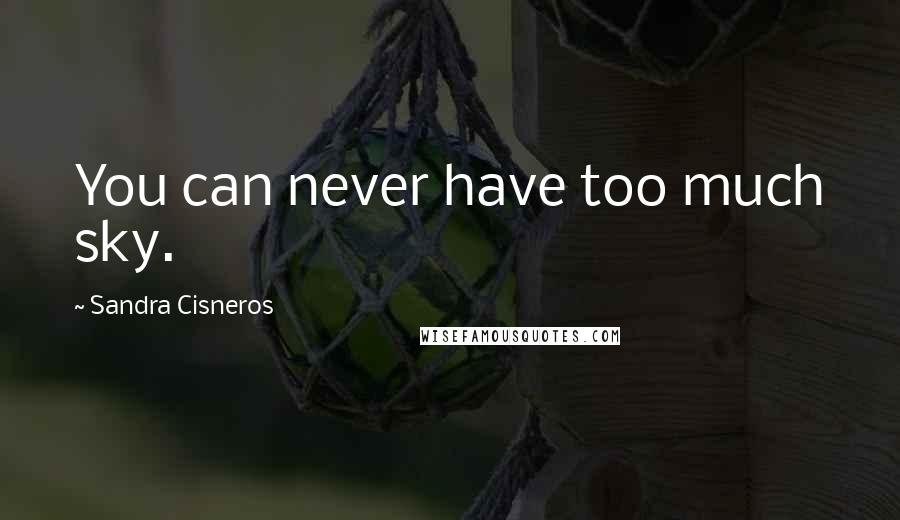 Sandra Cisneros Quotes: You can never have too much sky.
