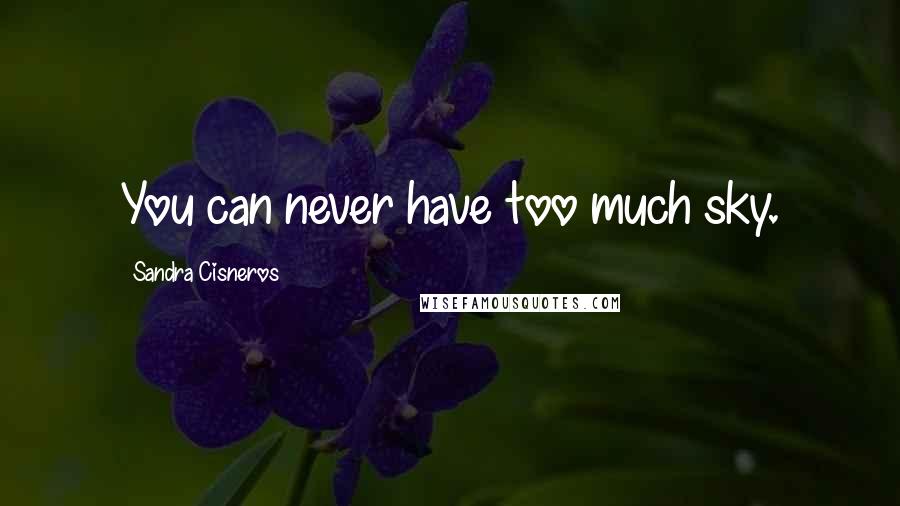 Sandra Cisneros Quotes: You can never have too much sky.