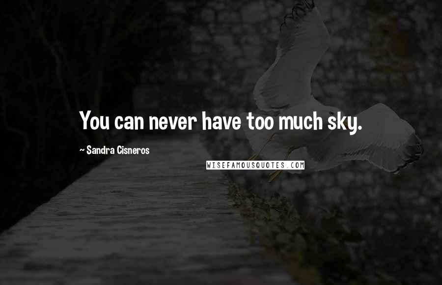 Sandra Cisneros Quotes: You can never have too much sky.