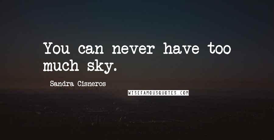 Sandra Cisneros Quotes: You can never have too much sky.