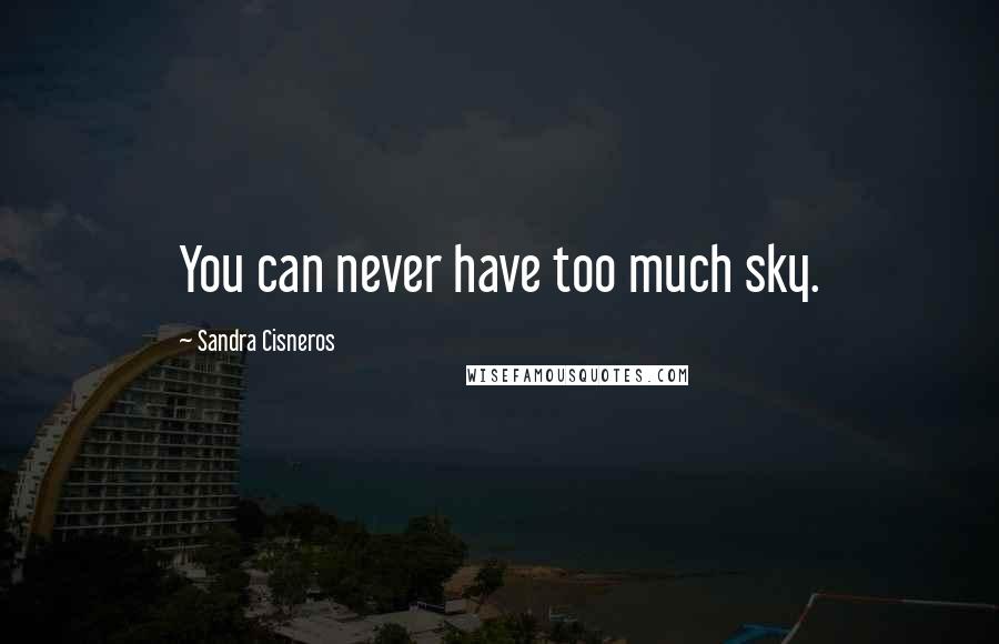 Sandra Cisneros Quotes: You can never have too much sky.