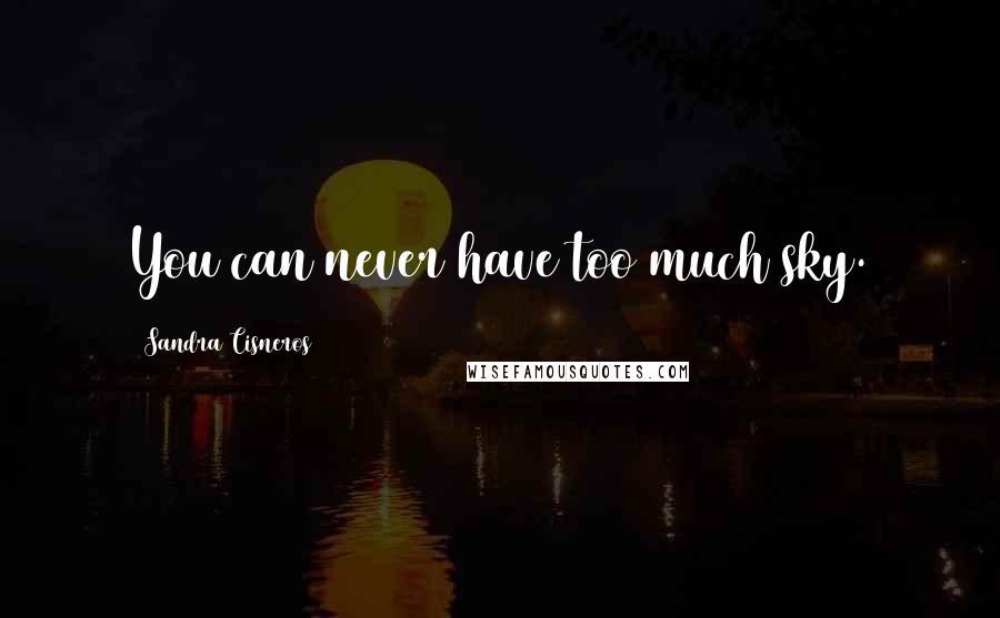 Sandra Cisneros Quotes: You can never have too much sky.