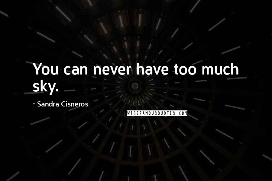 Sandra Cisneros Quotes: You can never have too much sky.