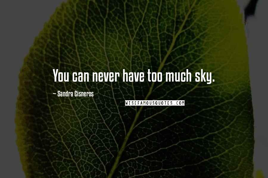 Sandra Cisneros Quotes: You can never have too much sky.
