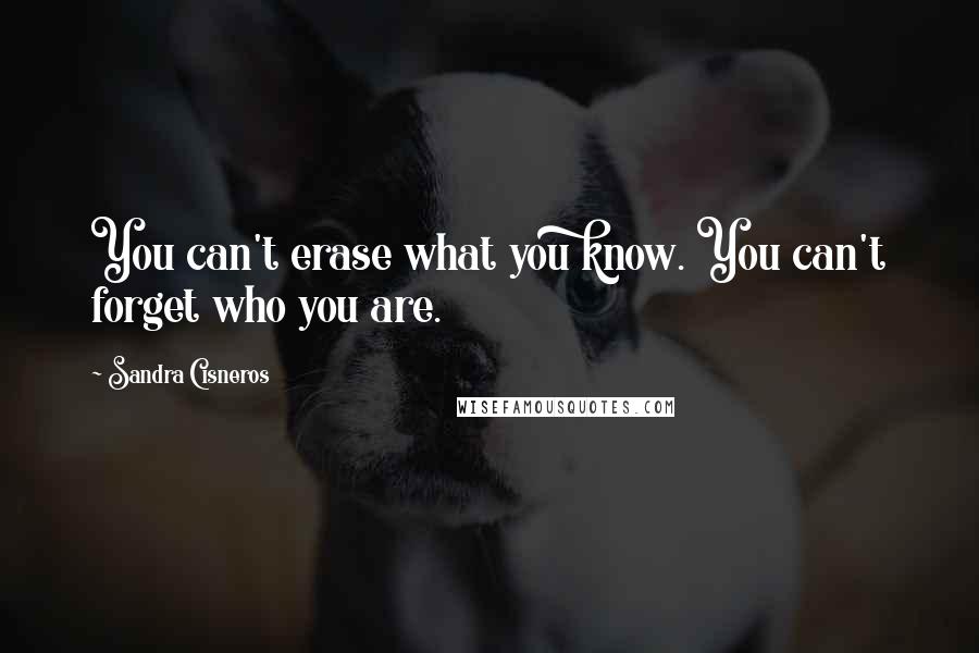Sandra Cisneros Quotes: You can't erase what you know. You can't forget who you are.