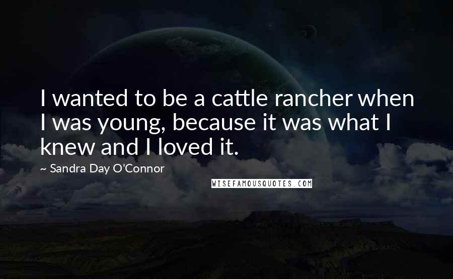 Sandra Day O'Connor Quotes: I wanted to be a cattle rancher when I was young, because it was what I knew and I loved it.