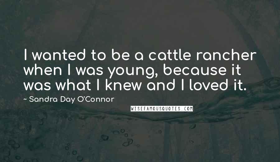 Sandra Day O'Connor Quotes: I wanted to be a cattle rancher when I was young, because it was what I knew and I loved it.