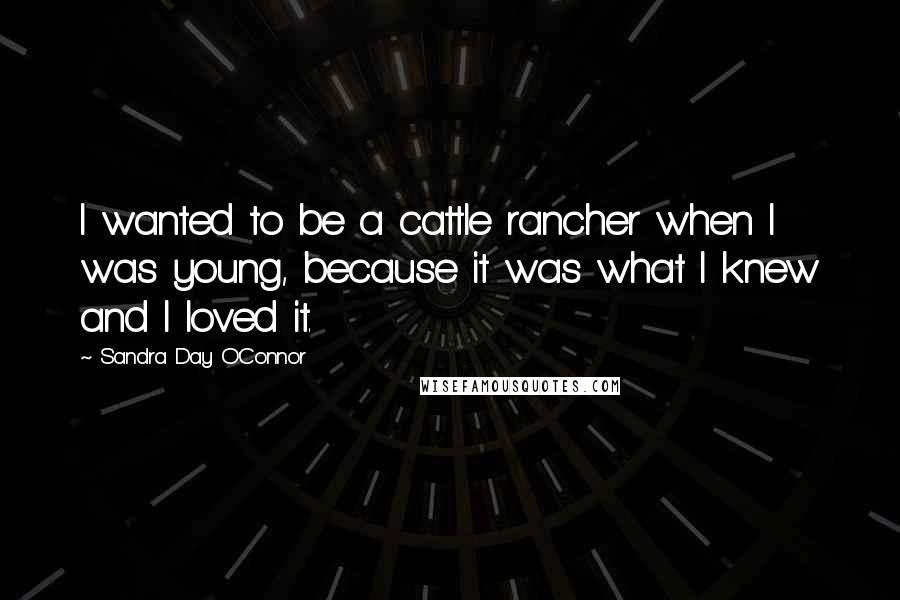 Sandra Day O'Connor Quotes: I wanted to be a cattle rancher when I was young, because it was what I knew and I loved it.