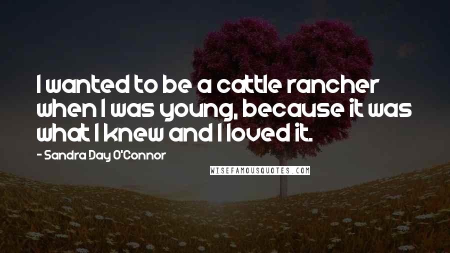 Sandra Day O'Connor Quotes: I wanted to be a cattle rancher when I was young, because it was what I knew and I loved it.
