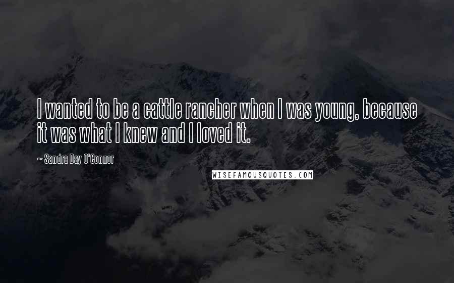 Sandra Day O'Connor Quotes: I wanted to be a cattle rancher when I was young, because it was what I knew and I loved it.