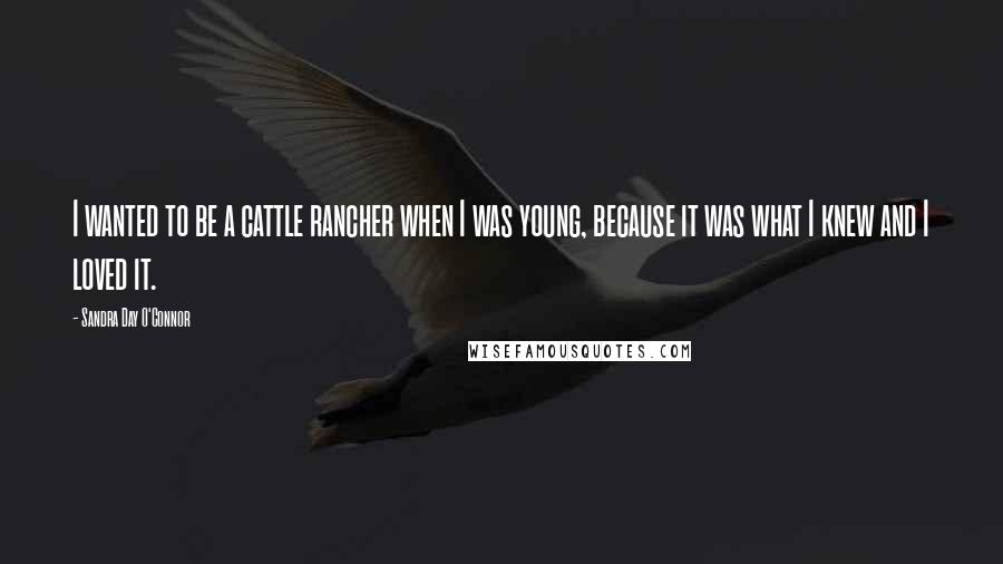 Sandra Day O'Connor Quotes: I wanted to be a cattle rancher when I was young, because it was what I knew and I loved it.