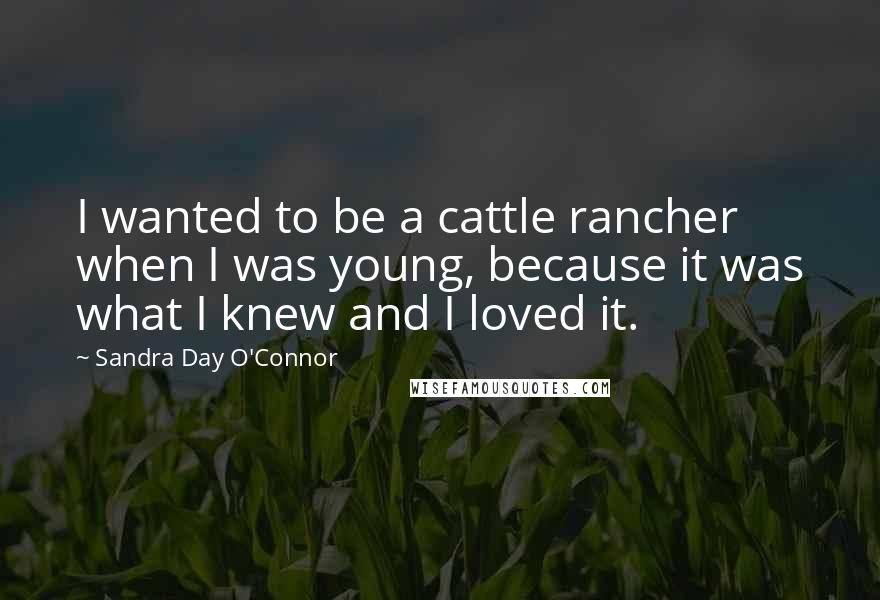 Sandra Day O'Connor Quotes: I wanted to be a cattle rancher when I was young, because it was what I knew and I loved it.