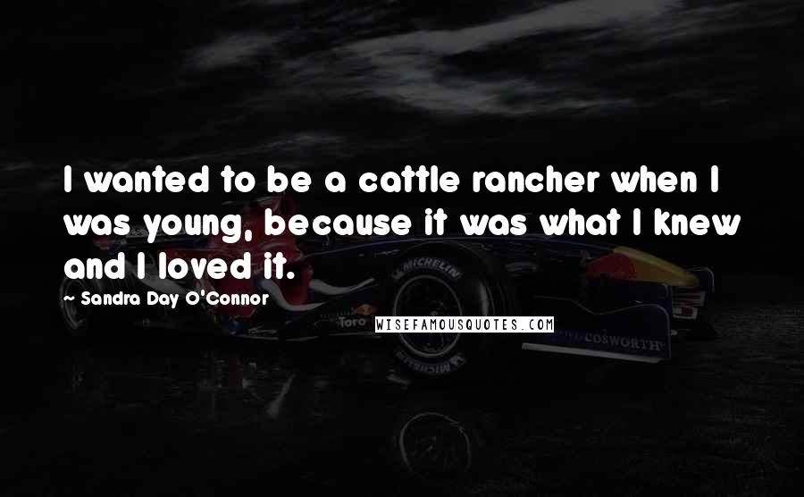 Sandra Day O'Connor Quotes: I wanted to be a cattle rancher when I was young, because it was what I knew and I loved it.