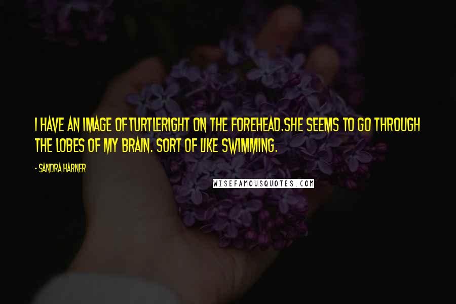 Sandra Harner Quotes: I have an image ofTurtleright on the forehead.She seems to go through the lobes of my brain. Sort of like swimming.