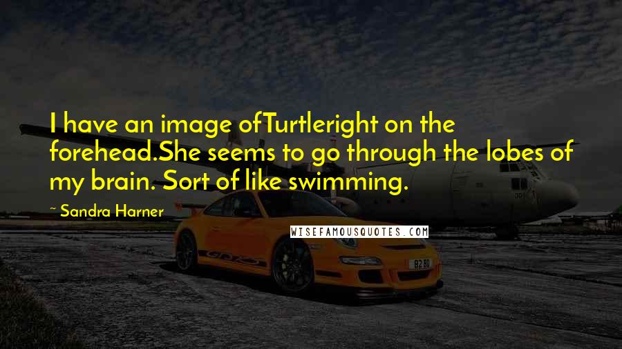 Sandra Harner Quotes: I have an image ofTurtleright on the forehead.She seems to go through the lobes of my brain. Sort of like swimming.