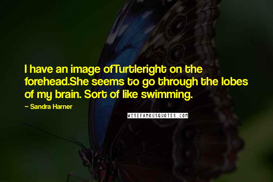 Sandra Harner Quotes: I have an image ofTurtleright on the forehead.She seems to go through the lobes of my brain. Sort of like swimming.