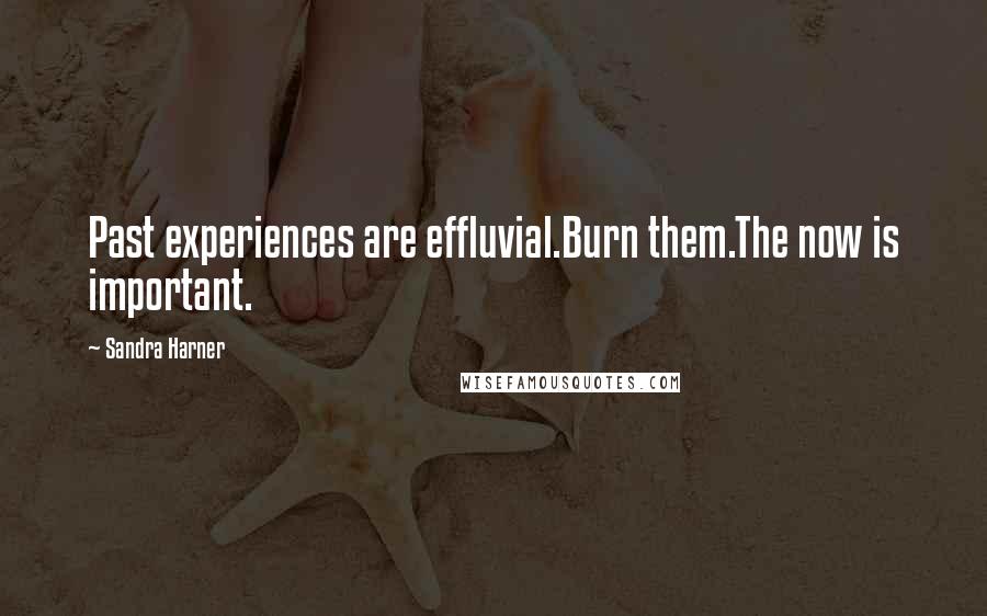 Sandra Harner Quotes: Past experiences are effluvial.Burn them.The now is important.