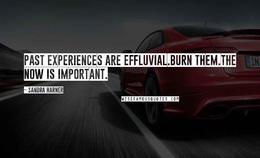 Sandra Harner Quotes: Past experiences are effluvial.Burn them.The now is important.