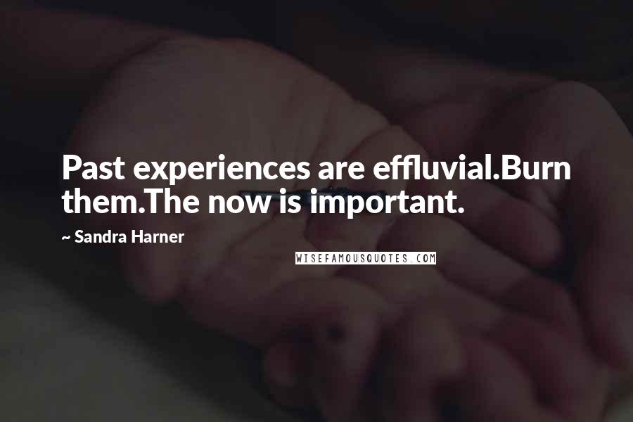 Sandra Harner Quotes: Past experiences are effluvial.Burn them.The now is important.