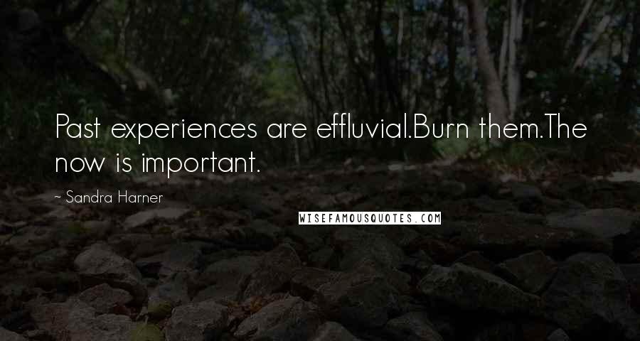 Sandra Harner Quotes: Past experiences are effluvial.Burn them.The now is important.
