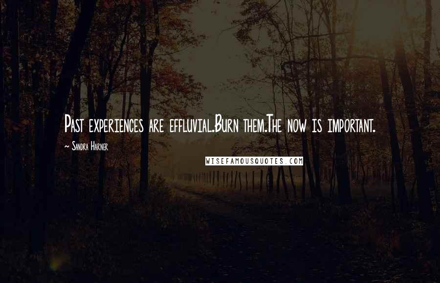 Sandra Harner Quotes: Past experiences are effluvial.Burn them.The now is important.
