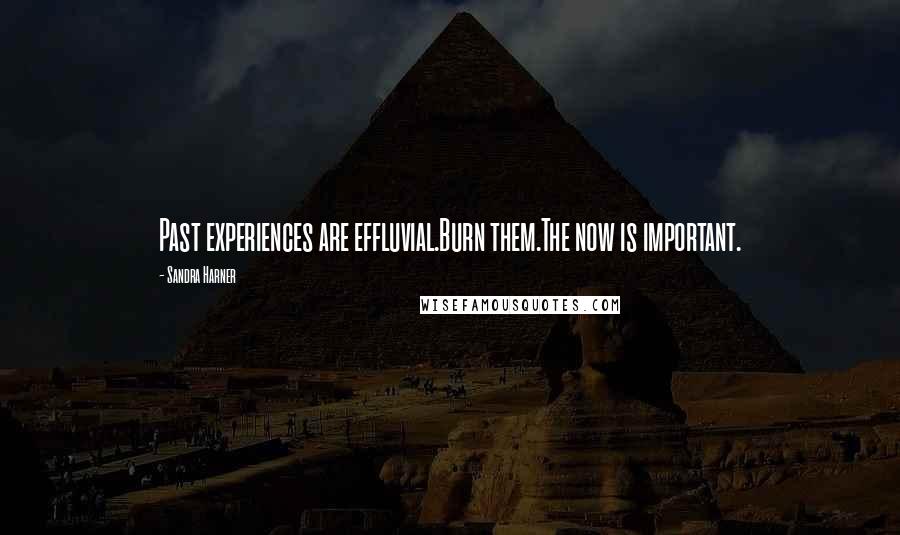 Sandra Harner Quotes: Past experiences are effluvial.Burn them.The now is important.