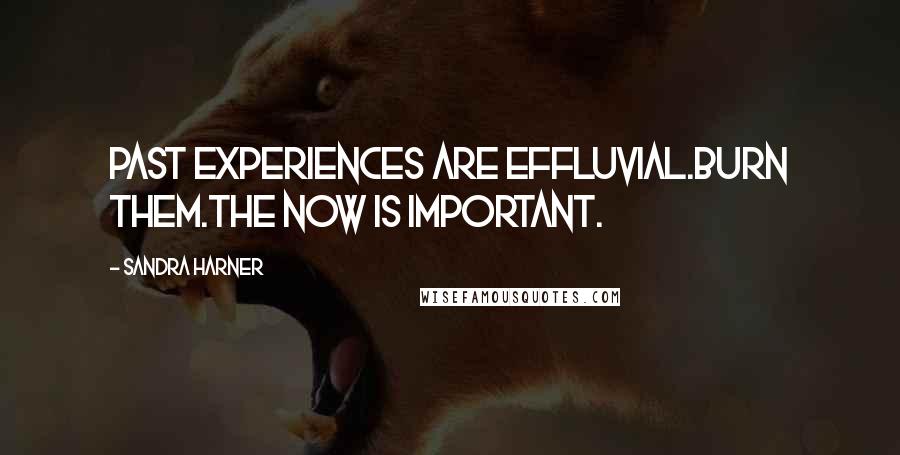 Sandra Harner Quotes: Past experiences are effluvial.Burn them.The now is important.